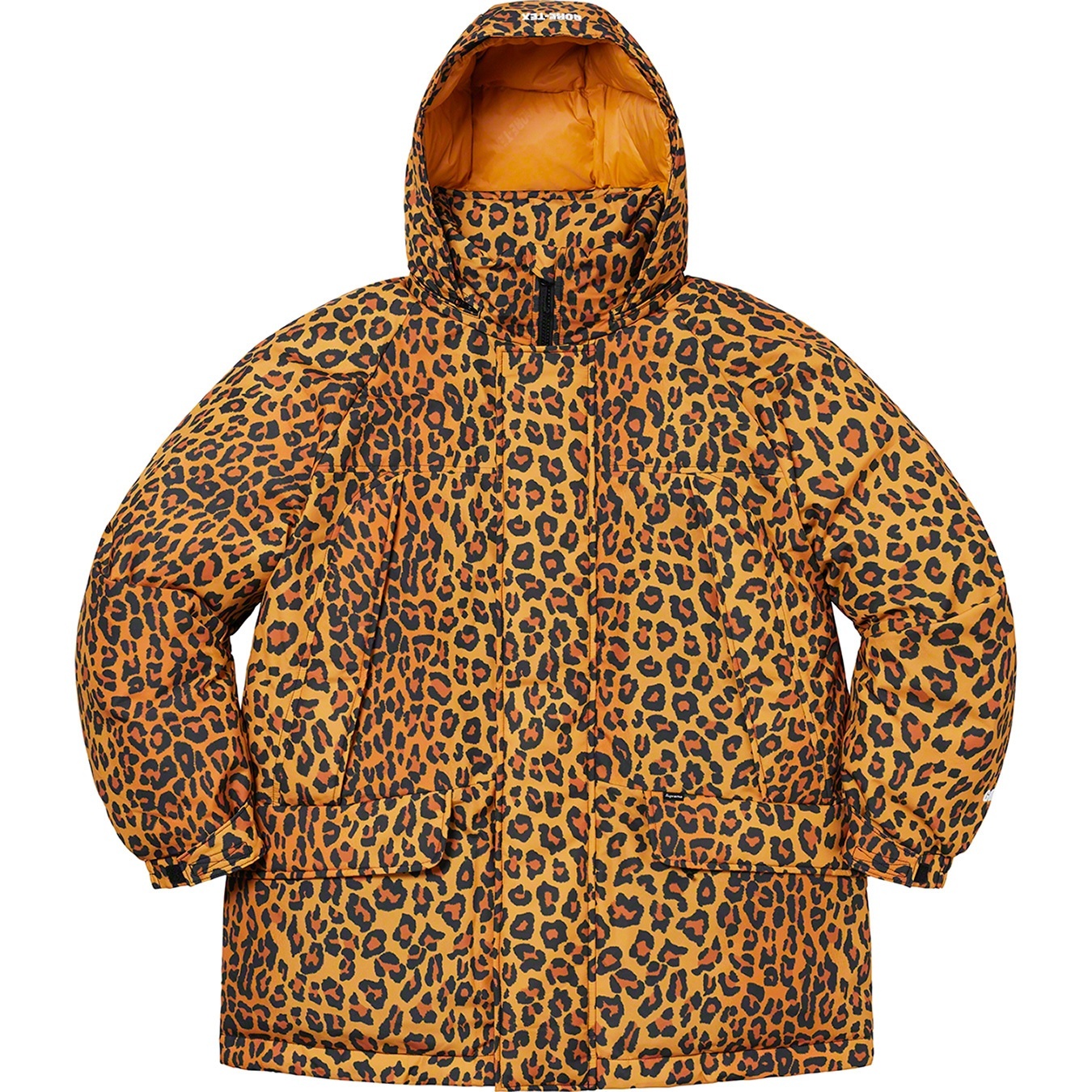 GORE-TEX 700-Fill Down Parka view 8